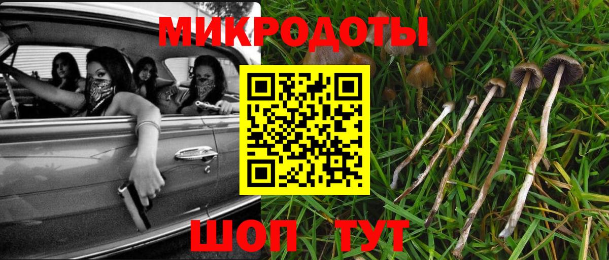 Галлюциногенные грибы MAGIC MUSHROOMS  Галлюциногенные грибы мухоморы  Углич  Вход с VPN 