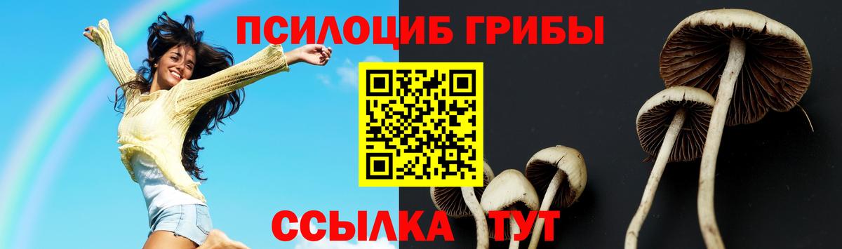 Псилоцибиновые грибы прущие грибы Углич